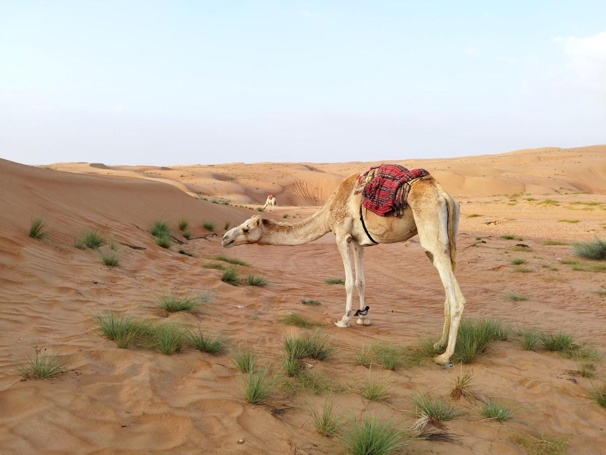 Sands Dream Tourism Camp Shāhiq Eksteriør billede