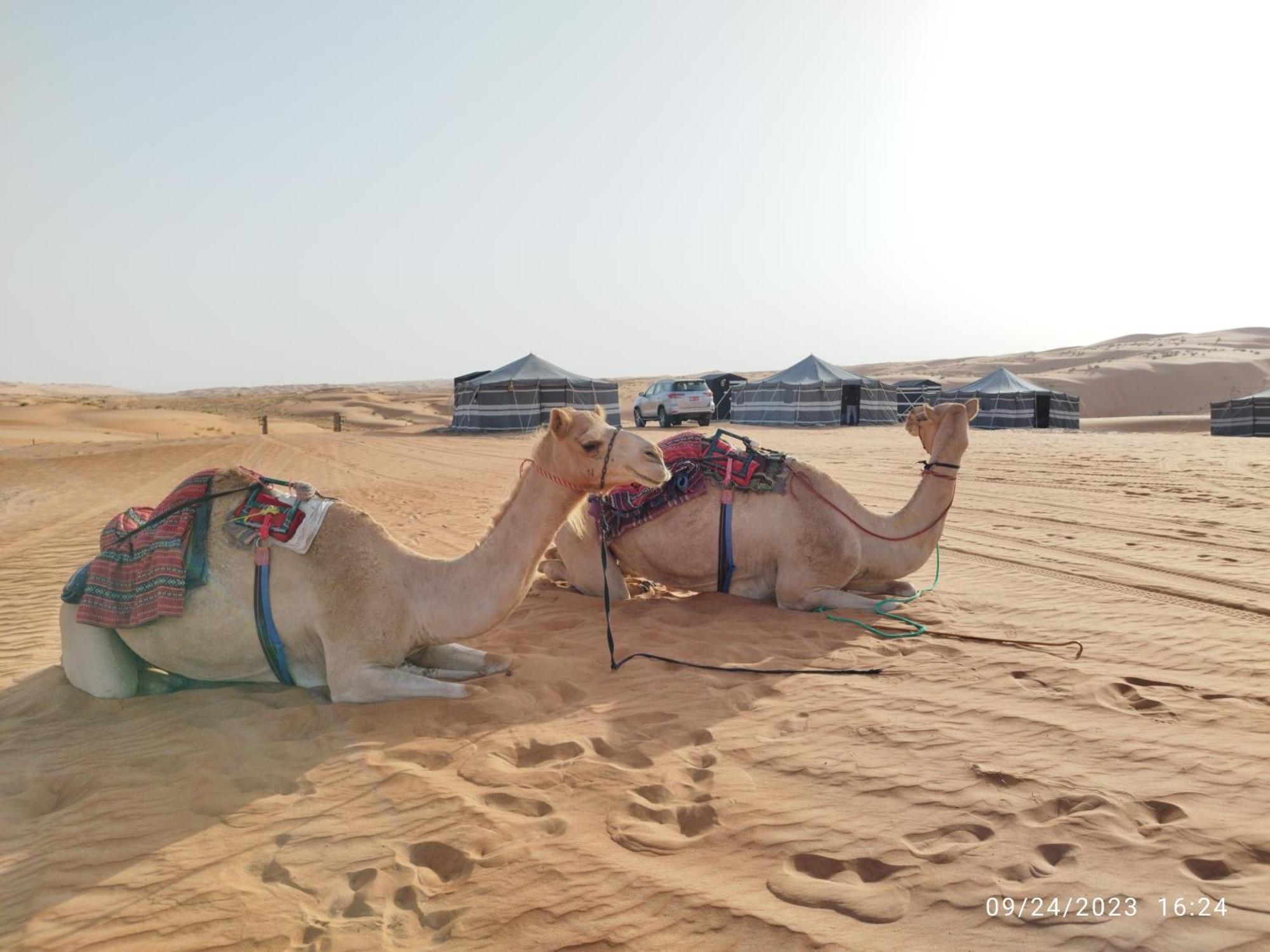 Sands Dream Tourism Camp Shāhiq Eksteriør billede